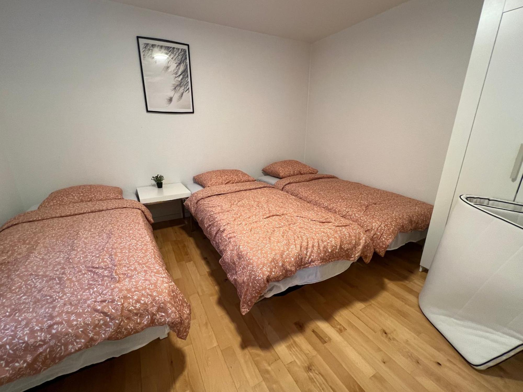 5 Minute Walk To Lego House-70M2 Apartment With Garden-Unit C بيلوند المظهر الخارجي الصورة